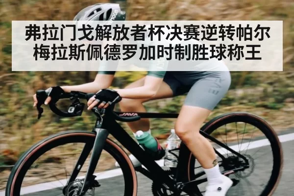 弗拉门戈解放者杯决赛逆转帕尔梅拉斯佩德罗加时制胜球称王